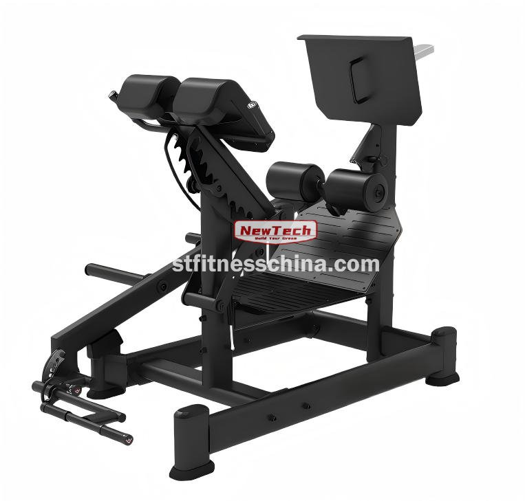 NT-BQ 01 Dual 45 Hip Extension - BQ - newtechgymequipment.com