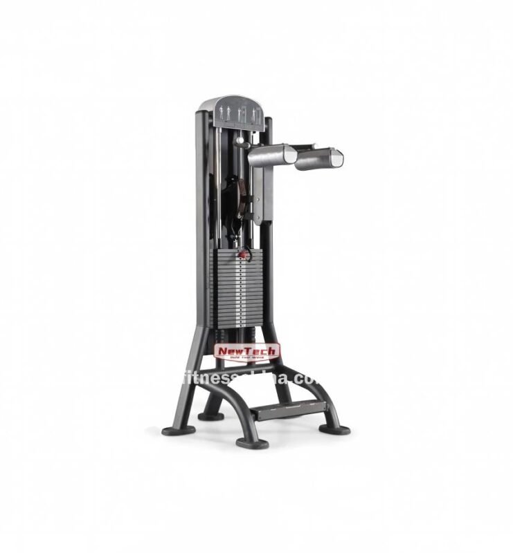 NT-PT 10 Calf Machine - PT - newtechgymequipment.com