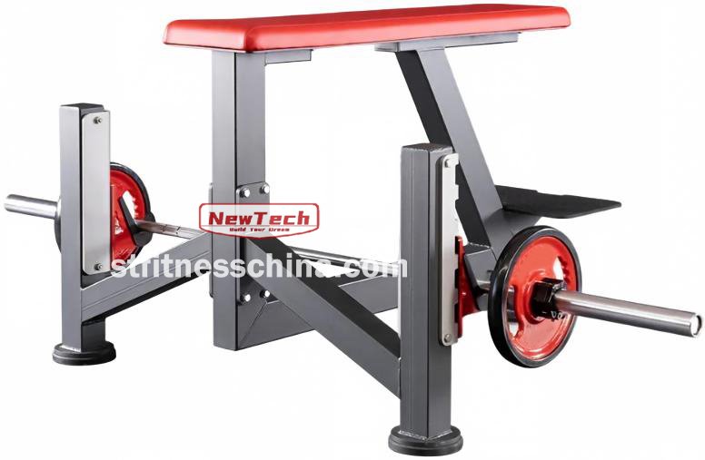 NT-PN 101 Seal Row Bench - PN - newtechgymequipment.com
