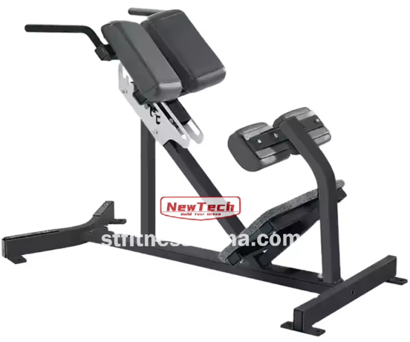 ST-HR 14 Back Extension - HR - newtechgymequipment.com