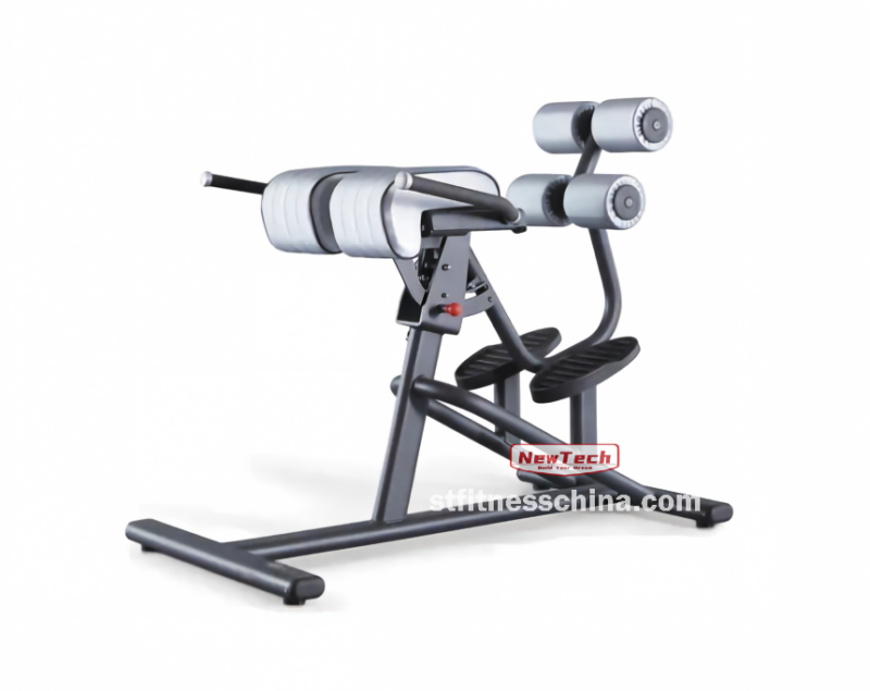 NT-PT 15 Adjustable Back Extension - PT - newtechgymequip...