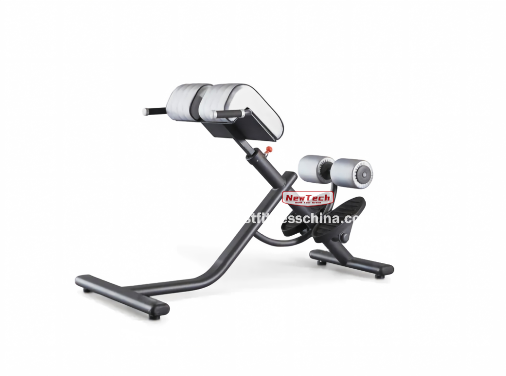 NT-PT 16 Iperextension 45° Bench - PT - newtechgymequipm...