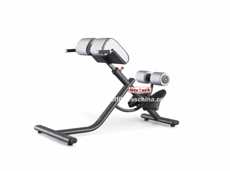 NT-PT 16 Iperextension 45° Bench - PT - newtechgymequipm...