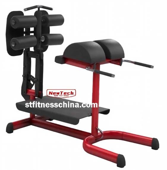 NT-GM 19 Back Machine - GM - newtechgymequipment.com