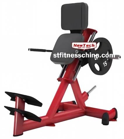NT-GM 26 55 Standing Galf Raise - GM - newtechgymequipmen...