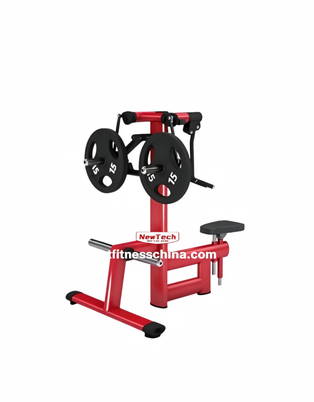 NT-GM 28 Shouler Laterel Raisedual - GM - newtechgymequip...