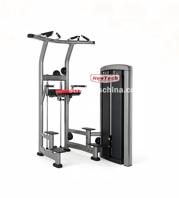ST-XT 03 Dip Chin - XT - newtechgymequipment.com