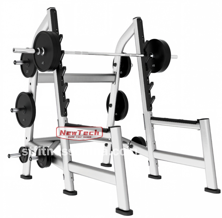 ST-LJ 06 Squat Rack - LJ - newtechgymequipment.com