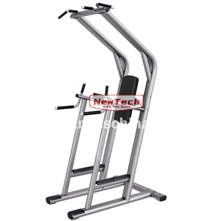 ST-LJ 21 Chin，Dip，Leg Raise - LJ - newtechgymequipment.com