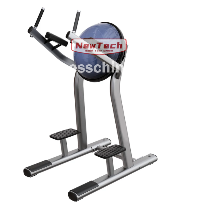 ST-LJ 25 Leg Raise - LJ - newtechgymequipment.com